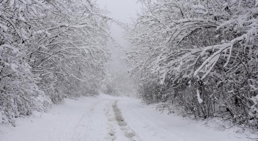 Itt a legfrissebb hótérkép: mutatjuk, hol eshet 10 centi hó is Magyarországon