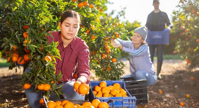 Leszoktatnák a spanyolok a magyarokat arról, hogy a napsütés jusson eszükbe országukról