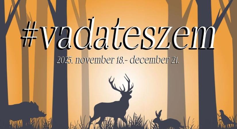 Zalai szállodák népszerűsítik a vadas ételeket