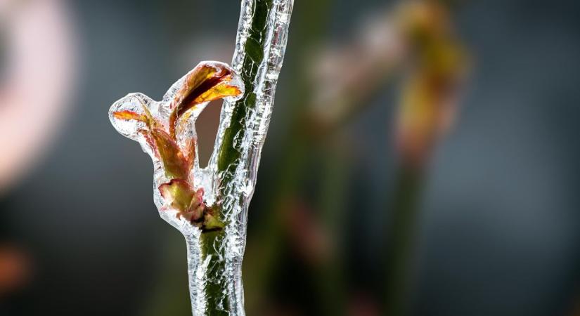 Közeleg a határidő: december 1-jéig nyújtható be ez a kérelem
