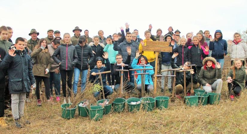 Felnőttek a fák és a diákok is: erdő lett a hat éves élményből