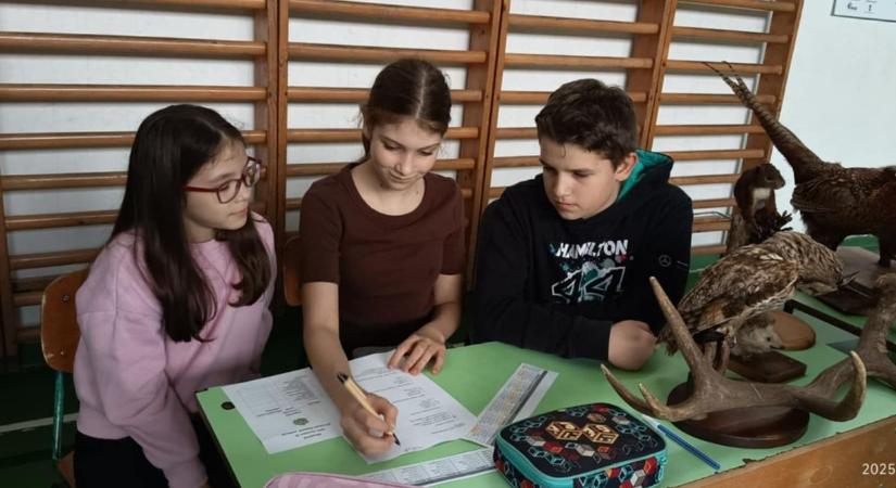 ÖKOSAN adtak számot tudásukról hat kaposvári iskola diákjai