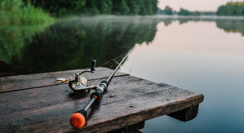 Nehéz döntés előtt a minisztérium: új fajok kerülhetnek a védett listára