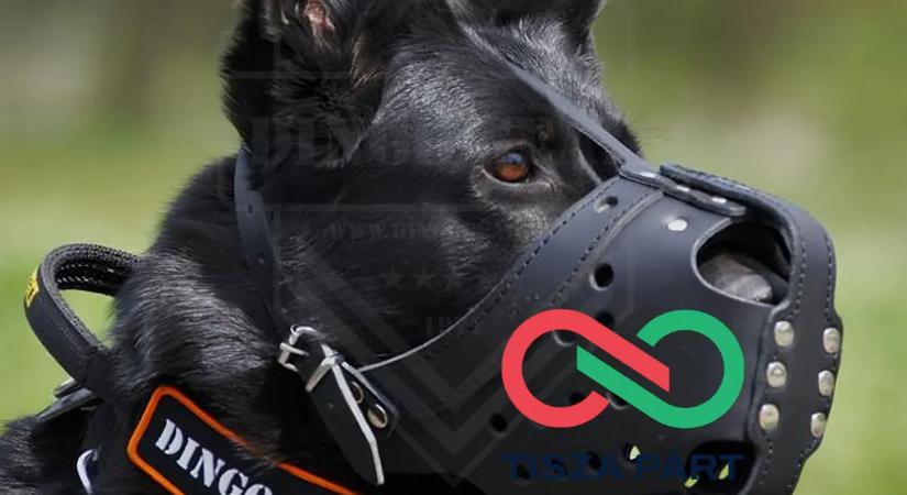 Takács Péter szerint mindenkinek tudnia kéne, hogy hol a helye