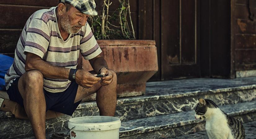 Isztambul: ahol a macskák uralják a történelmi utcákat