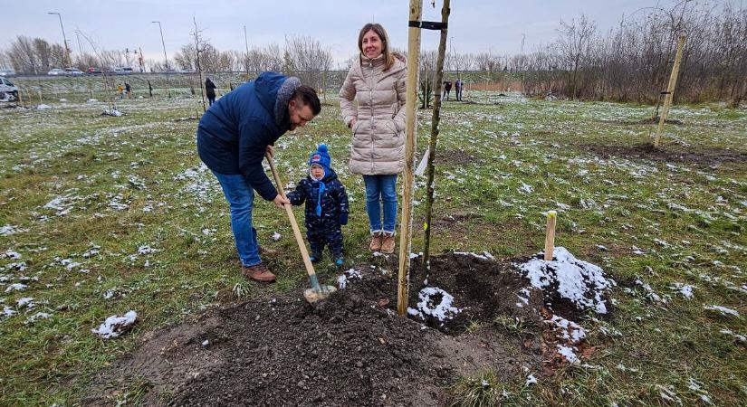 Ez igazán kedves gesztus: győri kisbabáknak fát ültettek