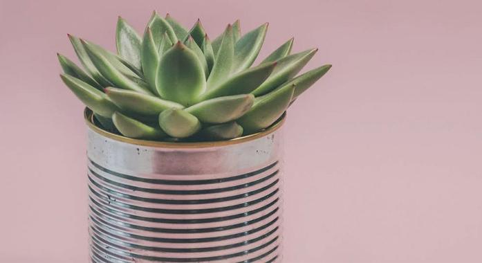 6 szuper ötlet konzervdobozok újrahasznosításához