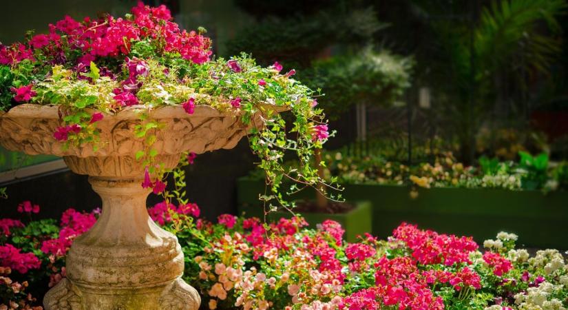 80 díjat osztottak ki a Virágos Magyarország versenyen