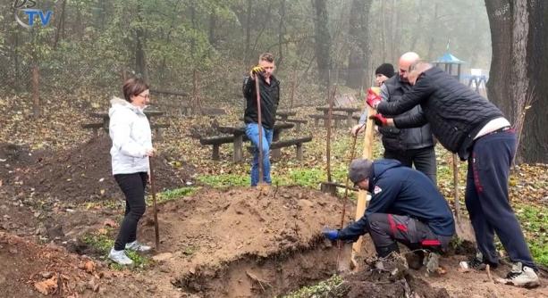 DSTV: faültetés az arborétumban