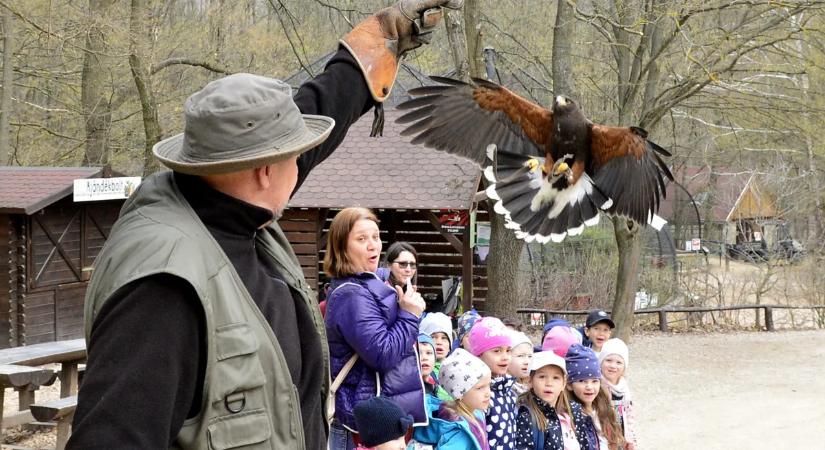 Ez a top 5 legjobb vadaspark, ha családi programra vágysz