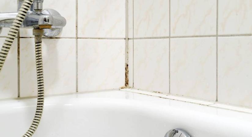 Csak így tüntetheted el a penészt teljesen - Két filléres összetevő kell a szakértő szerint