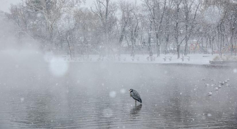 Egyre többfelé várható havazás az országban