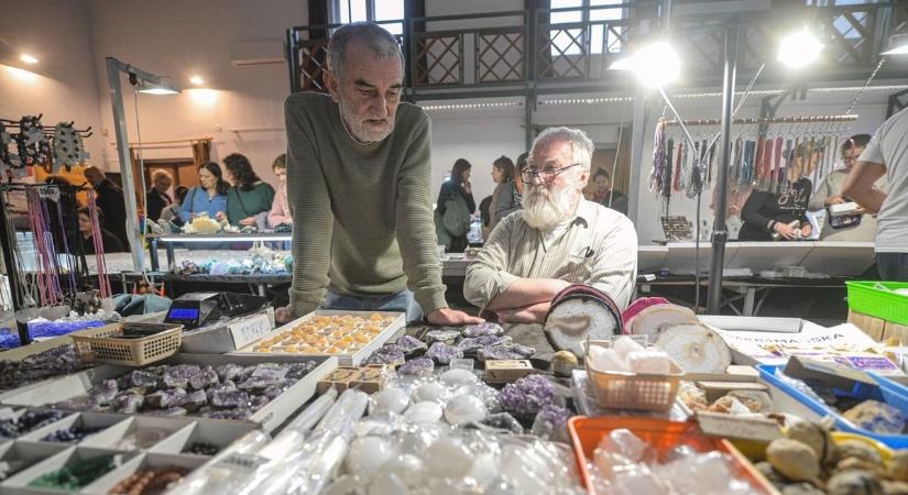 Szenzáció Szegeden: több millió éves marokkói ammoniteszek kerültek elő az ásványbörzén – galériával, videóval