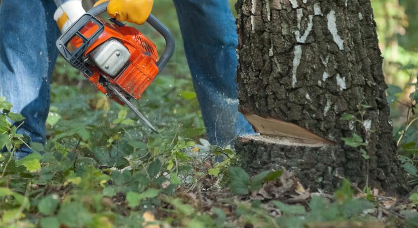 Új szabályozás jöhet az EU-ban: erre jobb, ha mindenki felkészül