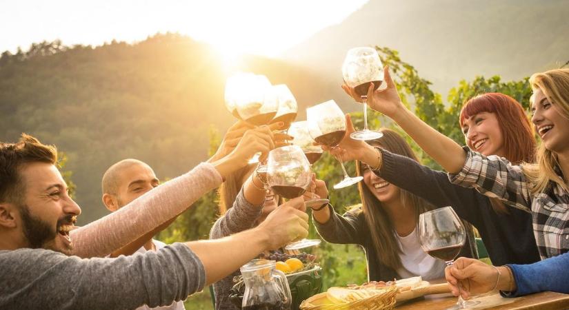 A legkedveltebb magyar borvidékek között szerepel a Móri borvidék
