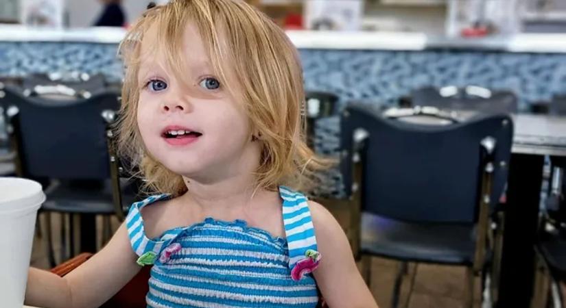 A család kutyája tépte szét a kislányt a harmadik szülinapja előtt - a szülei kezén kattant a bilincs