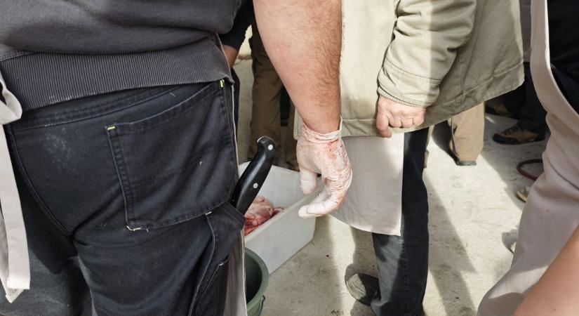 Kálban letartóztatták a gazdát, aki titokban akart disznót vágni