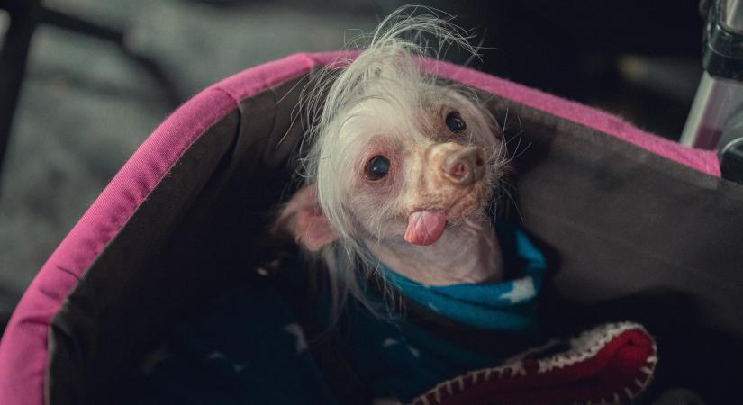 Netflix: Most már biztos, nem kap 2. évadot a platform 2025-ös romantikus vígjátéksorozata