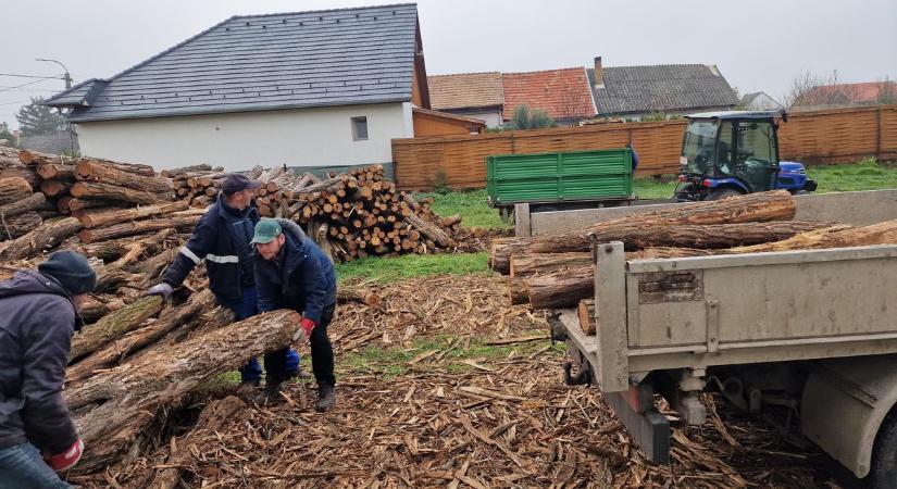 Kopogtat a hideg az ablakon, be kellene gyújtani, de mivel? Érkezik a szociális tűzifa! - videóval