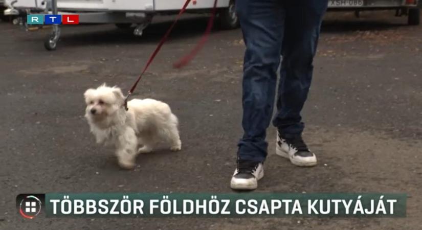 Többször is földhöz csapta a kutyáját egy férfi Újpesten