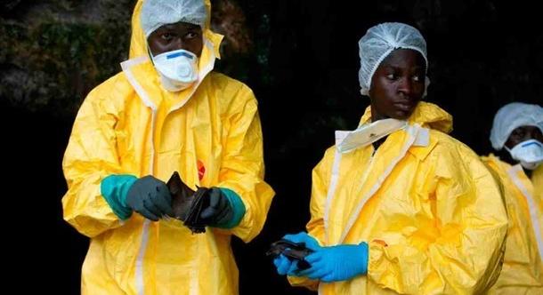 Etiópiában Marburg-vírus okozta haláleseteket regisztráltak