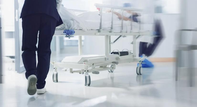 „Egy kutya letépte az orromat és lenyelte, hónapokig nem tudtam a tükörbe nézni”