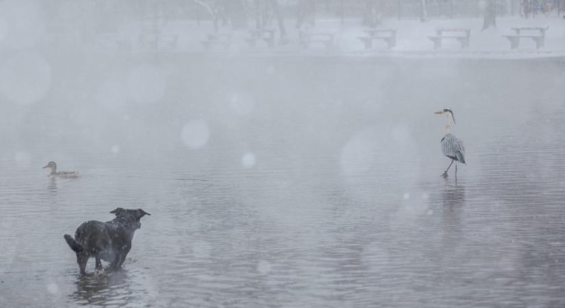 Havazás: már négy embert kellett menteni a Börzsönyben