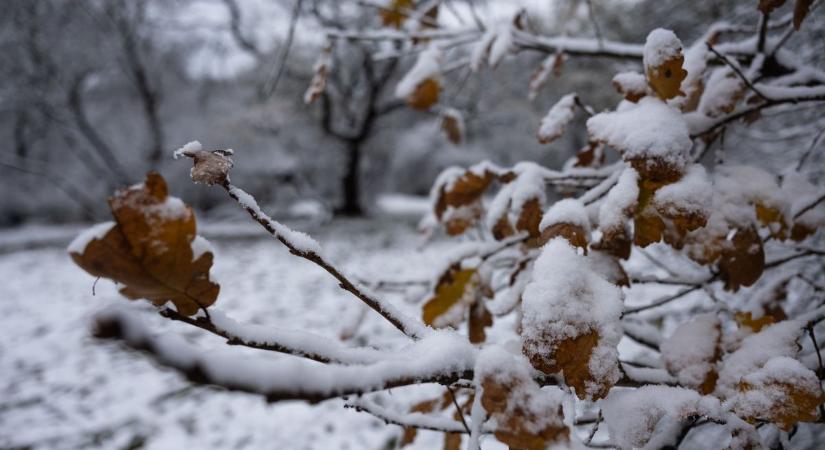 Télies vasárnap havazással és napos időszakokkal: így alakul az ország időjárása