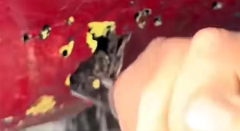 Beleszúrta a csavarhúzót az autóba a magyar szerelő, olyat látott, amit még soha - videó