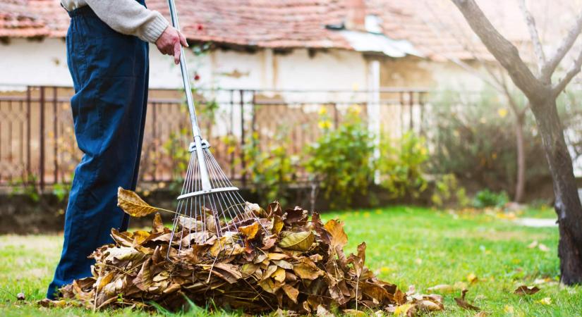 Sokan követik el ezt a hibát az őszi kertrendezés során