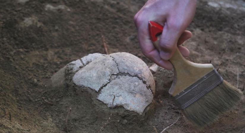 Elképesztő ritkaság Baranyában: ősi állat maradványai kerültek elő!