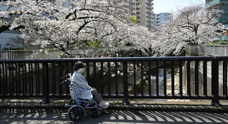 Csak a bomlásnak indult testek tanúskodnak a magányról, amire külön iparág is épült