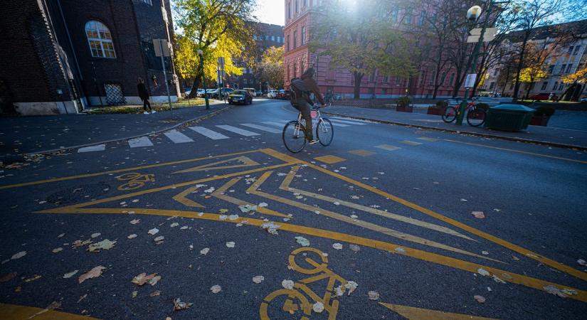 Egyetlen rossz mozdulat a zebrán, vége – szakértő szerint ezek a hibák állnak a biciklis balesetek mögött