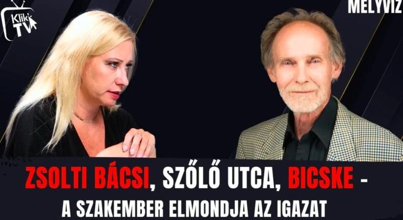 Zsolti bácsi, Szőlő utca, Bicske - a szakértő elmondja az igazat