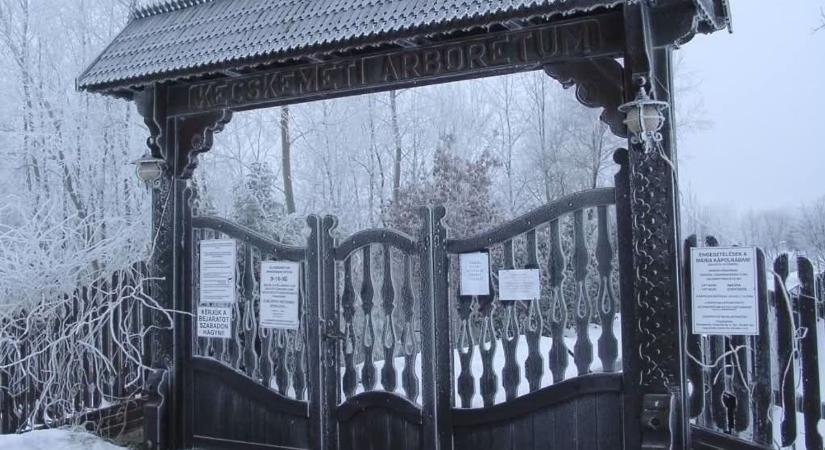 Rövid időre bezár a Kecskeméti Arborétum, ezért nem látogatható december 1–25. között