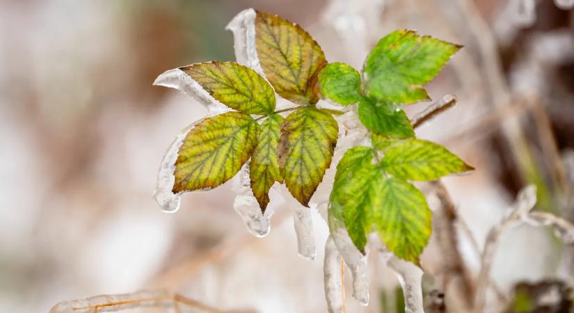 Kiadták a figyelmeztetést! Kiszámíthatatlan időjárás érkezik vasárnap az ország területére