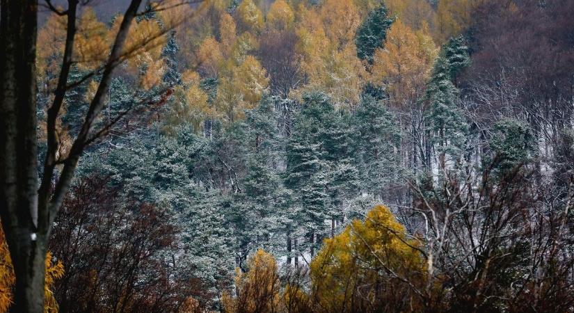 Időjárás: több megyére is hófúvás miatt adtak ki riasztást