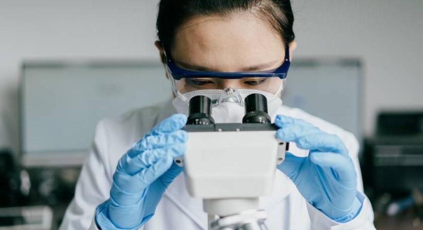 Könnyű félrediagnosztizálni: halálos vírus terjed két magyar vármegyében