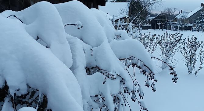 Vastag hóval takarta be a Dunántúlt a szezon első nagy havazása