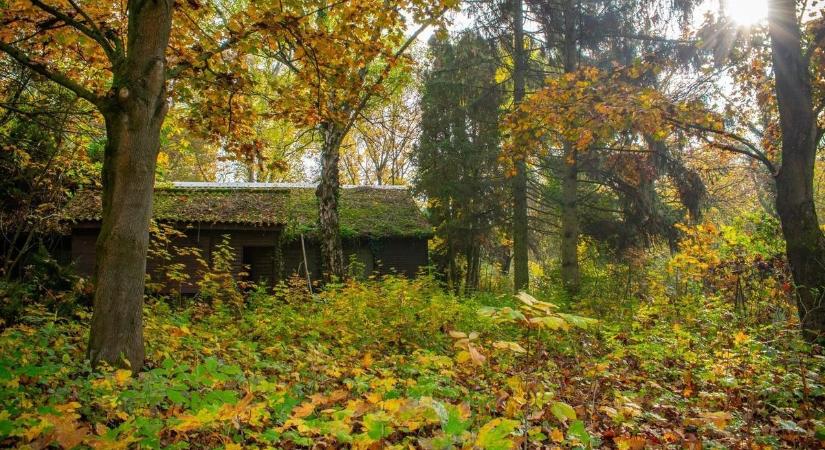 A nagy nevetések helyett legfeljebb a szél hangja száll – visszafoglalta a természet a balatoni nyári tábort