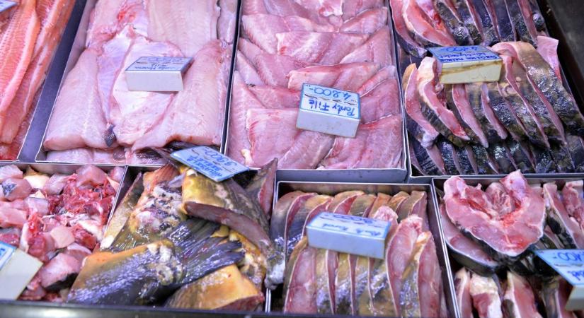 Ennyibe kerül majd a karácsonyi hal