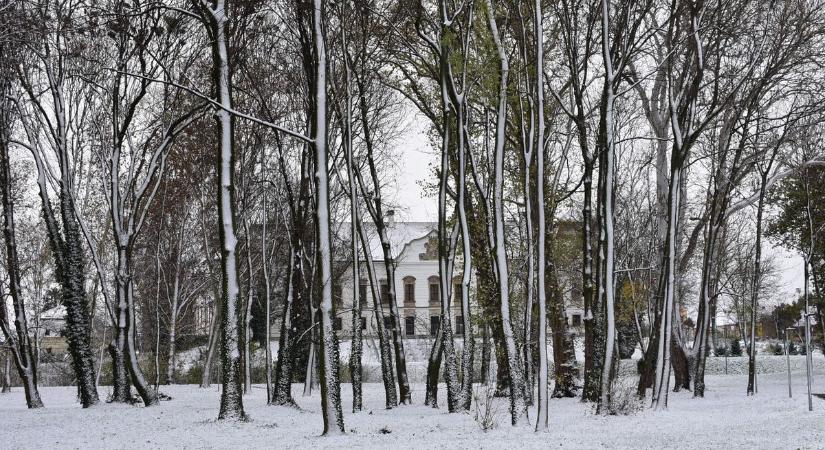 Téli varázs a pápai Várkertben ( galéria)