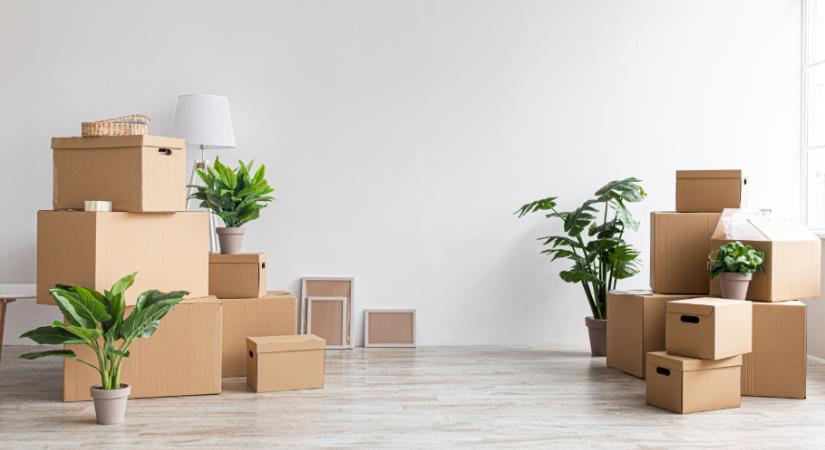 4 dolog, amit feltétlenül ki kell dobnod költözés előtt
