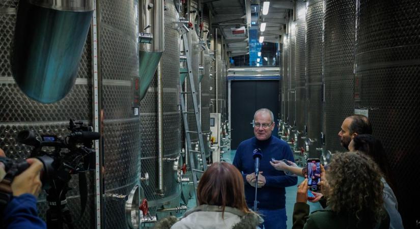 Milliárdokkal segíti a kormány a súlyos szőlőbetegség megfékezését