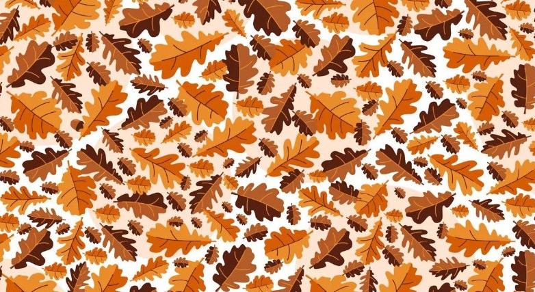 Optikai illúzió: 120-nál is magasabb az IQ-ja, ha látja, mi rejtőzik a levelek között