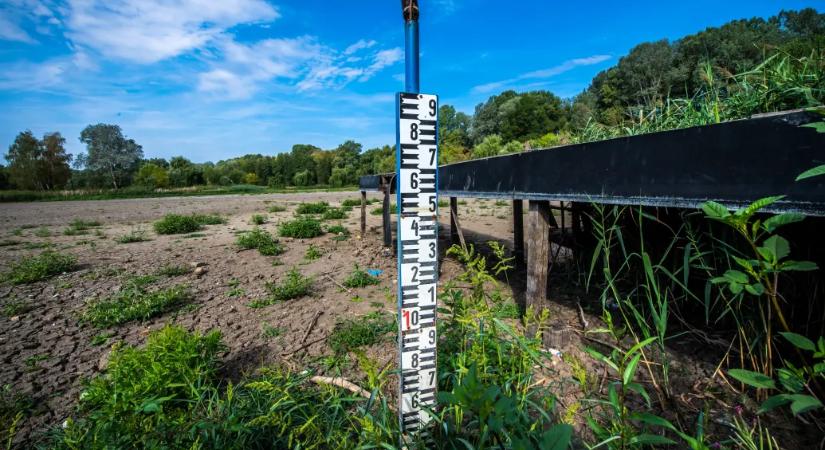 Arte: A Hortobágy teljes élővilágát fenyegeti a klímaváltozás