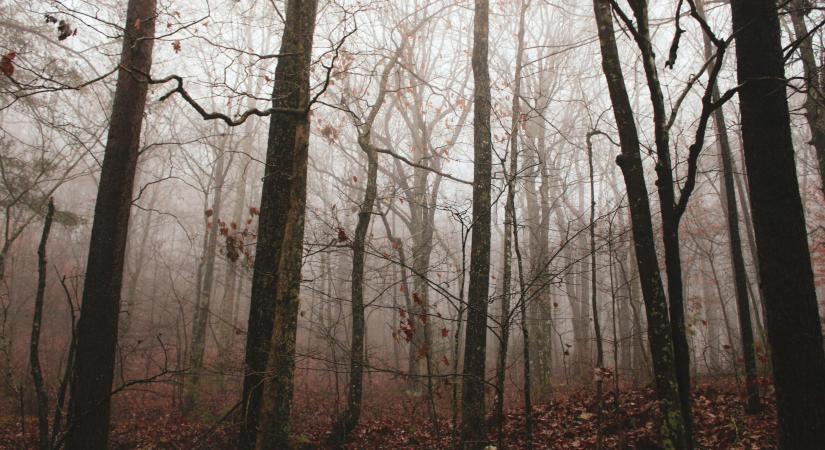 Goodstuff horoszkóp – 2025. november 23. (Vasárnap)