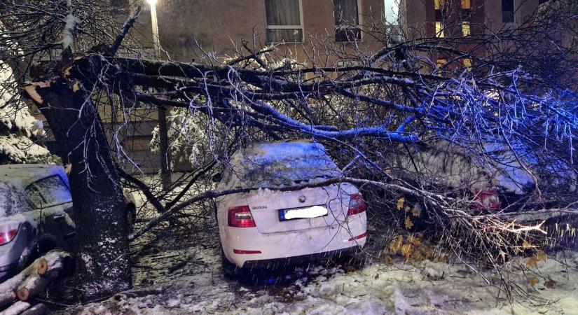 Az életmentőket is riasztották a havazás miatt - fotók