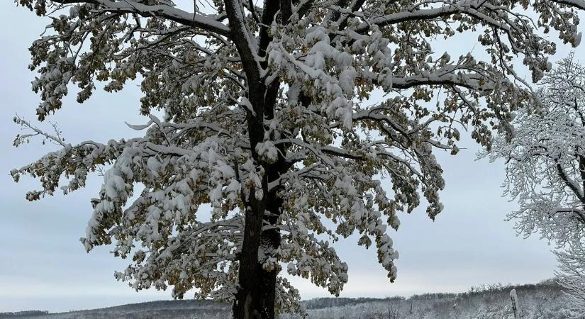 Mesébe illő fehér csoda: így néz ki ma Magyarország hó alatt