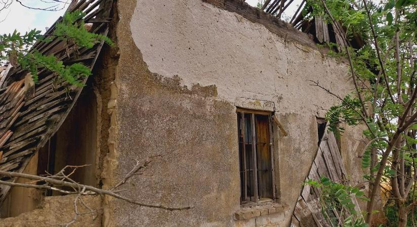 A természet visszavette, mégis gyönyörű: így néz ki ma az elhagyott parasztház (galériával)